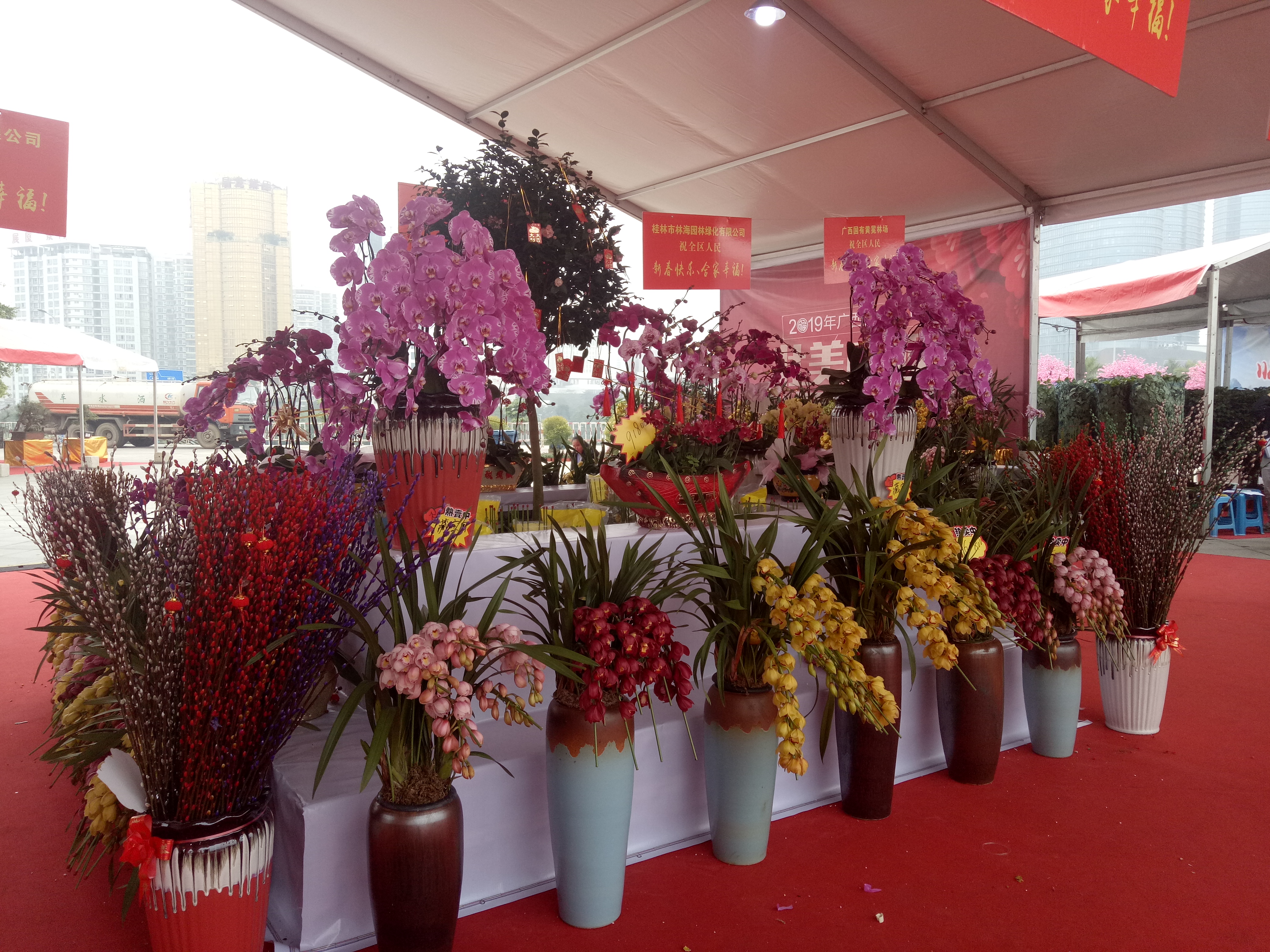 2020年廣西迎春花市于1月10日在南寧會(huì)展中心舉行
